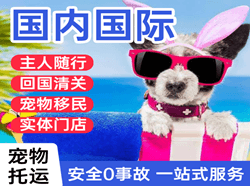 白莲航空货运国际宠物托运 【国